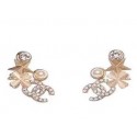 Chanel Earrings CE4826 JK4127nV16