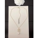 Chanel Necklace CE4861 JK4093dw37