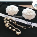 Chanel Necklace CE7176 JK2784ta99