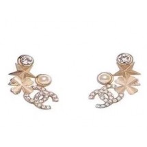 Chanel Earrings CE4826 JK4127nV16