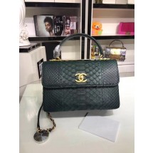 Chanel Original Snake skin Leather Tote Bag A92236 Blackish green JK5217vK93