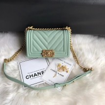 Imitation Chanel Leboy Original Caviar leather Shoulder Bag A67085 Light green gold chain JK5104Oz49