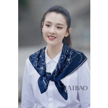 Chanel Scarf CHS00046 JK767NP24