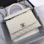 AAA Replica Chanel Classic Top Handle Bag White Cannage Pattern A92290 Silver JK5379cf50