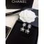 Best Replica Chanel Earrings CE8530 JK1969zU69