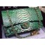 Chanel 2.55 Series Flap Bags Deep Green Original Python Leather A1112SA Gold JK376Wi77