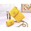 chanel card holder with chain & Gold-Tone Metal AP2033 yellow JK3392vK93