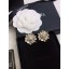 Chanel Earrings CE8532 JK1967DS71