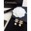 Chanel Earrings CE8538 JK1961yx89