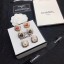 Chanel Earrings CE8721 JK1851nS91