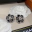 Fake Chanel Earrings CE8543 JK1956tu77