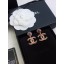 Hot Chanel Earrings CE8534 JK1965io40