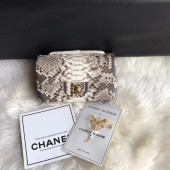 Chanel Mini Flap Bag Python & Gold-Tone Metal A69900 grey JK4971bm74