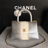 Chanel Original Python Leather Tote Bag 8119F JK5399np57