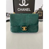 Chanel SMALL FLAP BAG Snakeskin & Gold-Tone Metal AS3214 green JK2295sY95