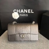 Fashion Chanel Original Python Leather Shoulder Bag CF1112I JK5584wc24