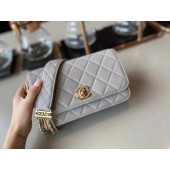 Hot Chanel small flap bag Lambskin & Gold-Tone Metal AS2052 grey JK3813Nm85